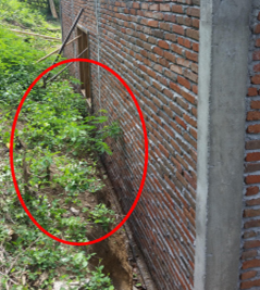 Side-of-house.jpg